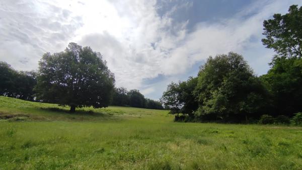 Terreno en As Paraxas, km 5