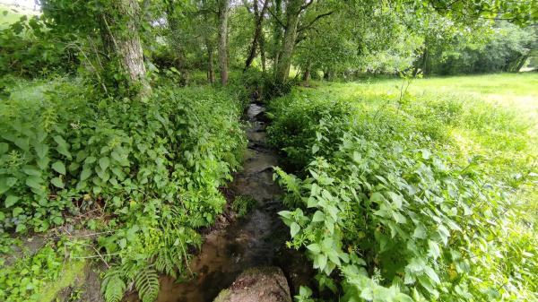 Terreno en As Paraxas, km 5