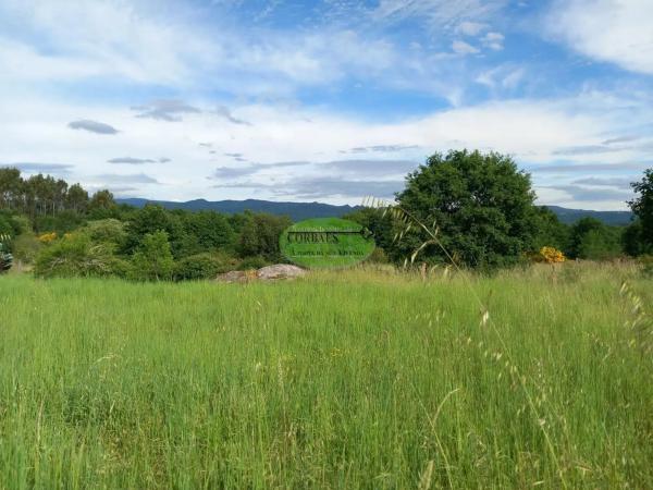 Terreno en Pereiro de Aguiar