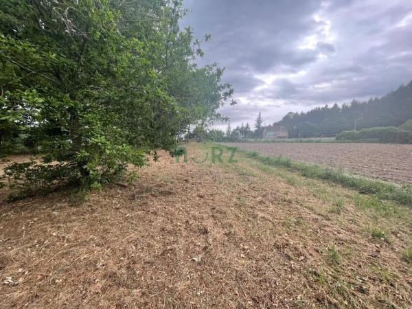 Terreno en Vilamarin