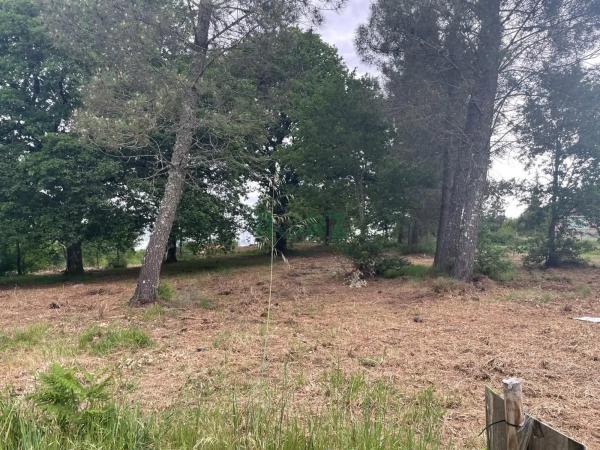 Terreno en Vilamarin