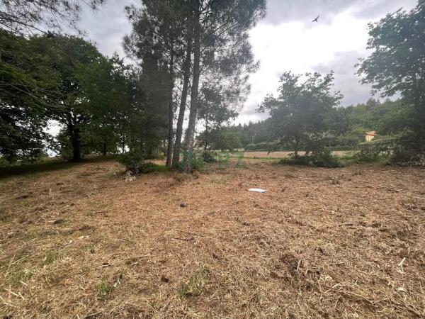 Terreno en Vilamarin