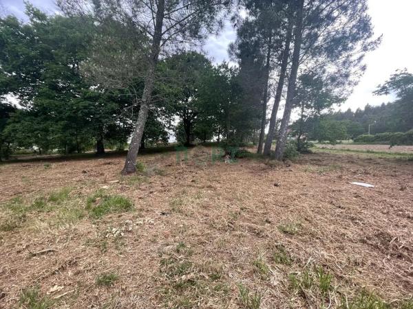 Terreno en Vilamarin