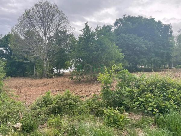 Terreno en Vilamarin