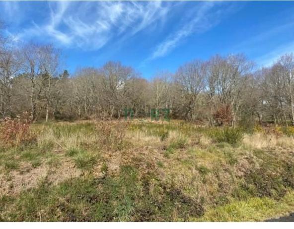 Terreno en calle Nova