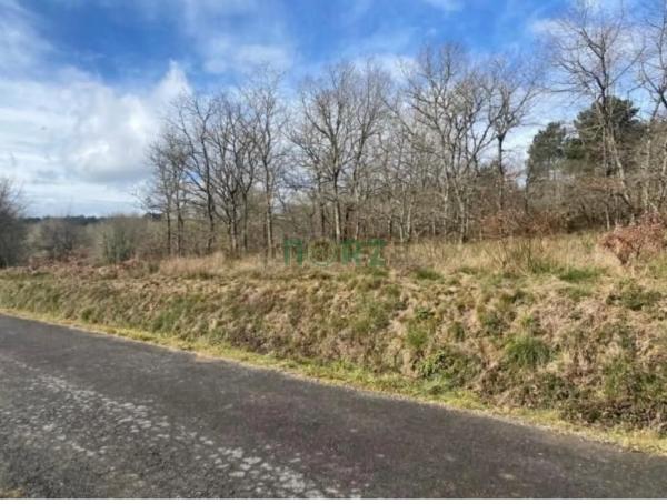 Terreno en calle Nova