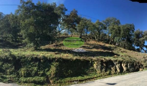 Terreno en San Cibrao das Viñas