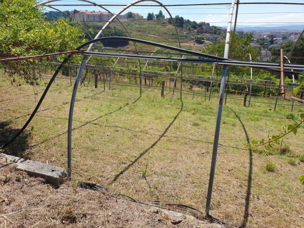 Terreno en calle Santa Ana