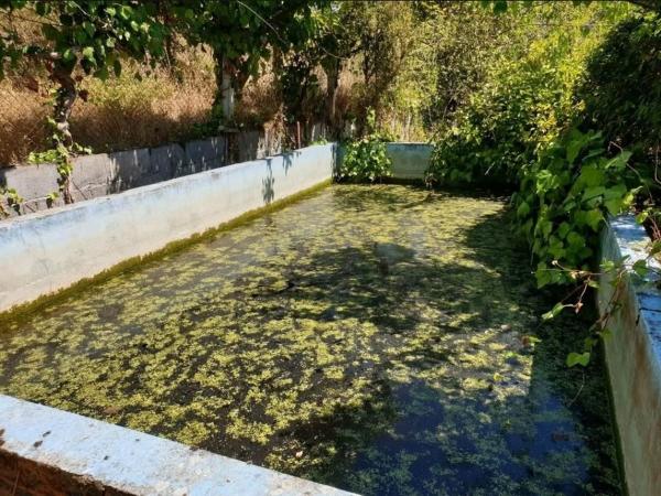 Terreno en calle Santa Ana