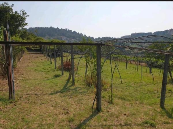 Terreno en calle Santa Ana