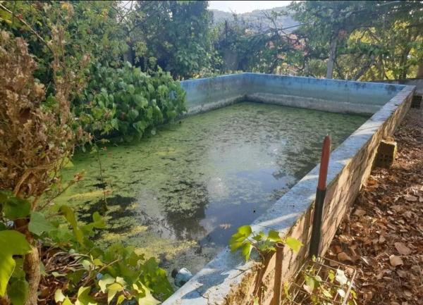 Terreno en calle Santa Ana