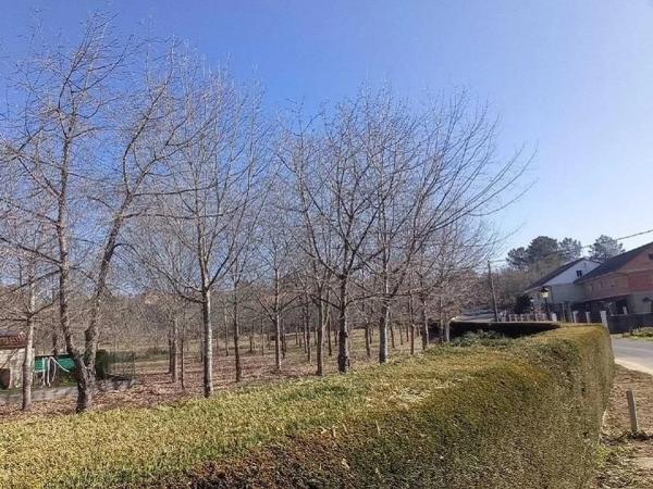 Terreno en Pereiro de Aguiar