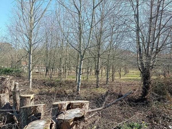 Terreno en Pereiro de Aguiar