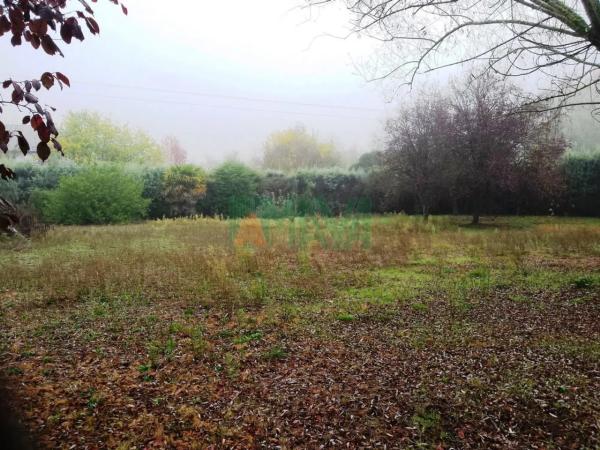 Terreno en Pereiro de Aguiar