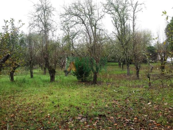 Terreno en Pereiro de Aguiar