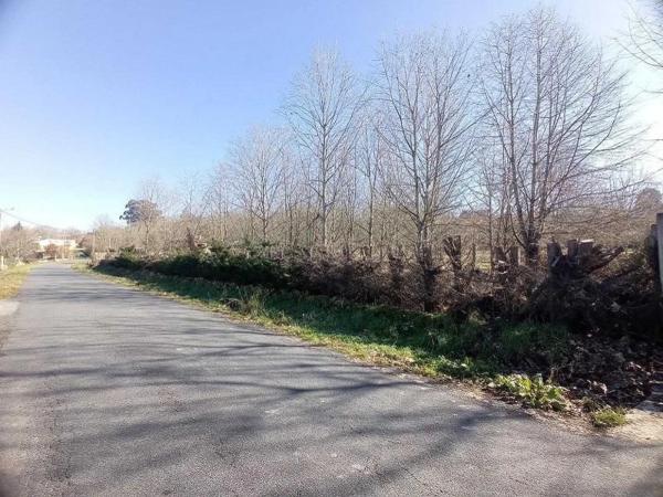 Terreno en Pereiro de Aguiar