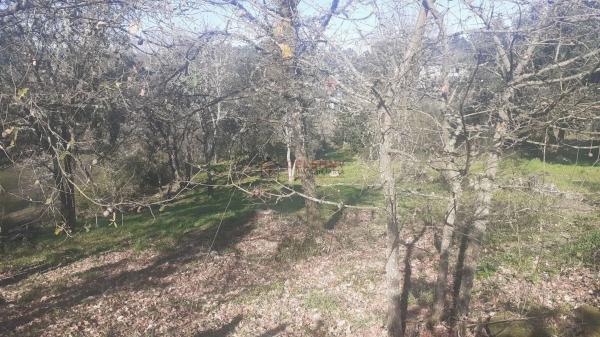 Terreno en San Cibrao das Viñas