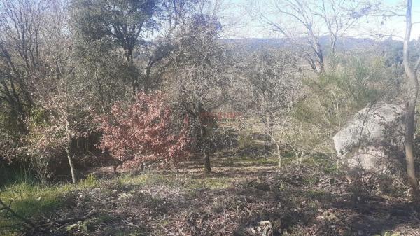 Terreno en San Cibrao das Viñas