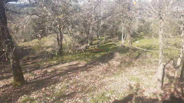 Terreno en San Cibrao das Viñas