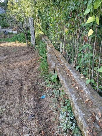 Terreno en travesía Rosales s/n