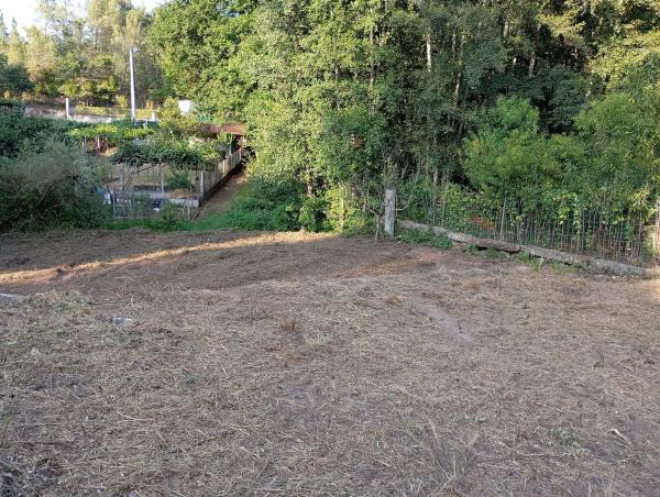 Terreno en travesía Rosales s/n