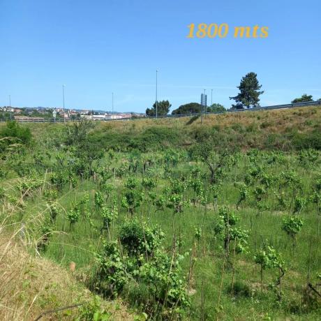 Terreno en calle Fonsillón