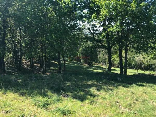 Terreno en lugar Parroquia Melias