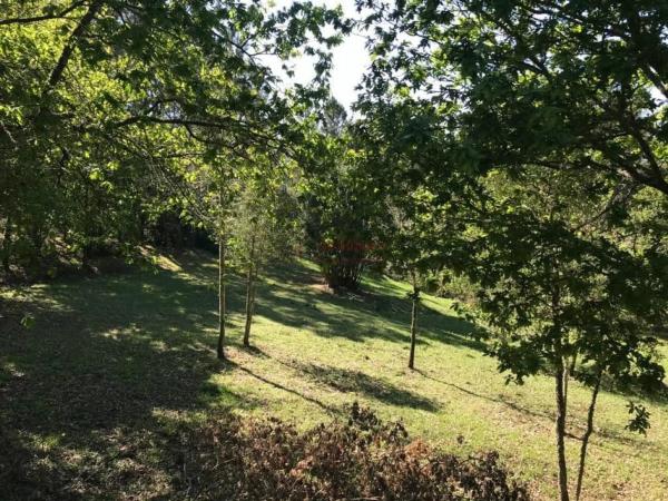 Terreno en lugar Parroquia Melias