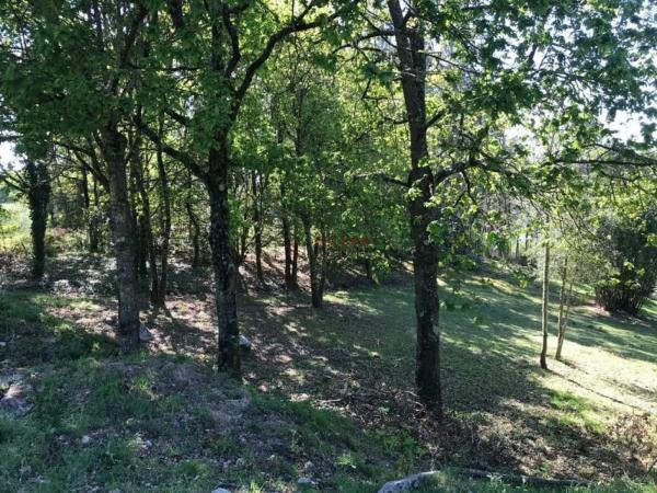 Terreno en lugar Parroquia Melias