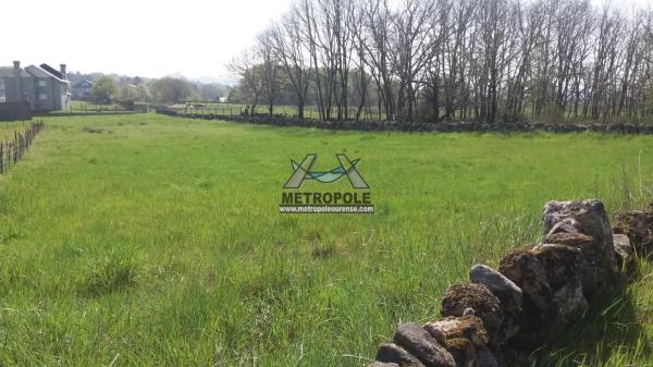 Terreno en Pereiro de Aguiar