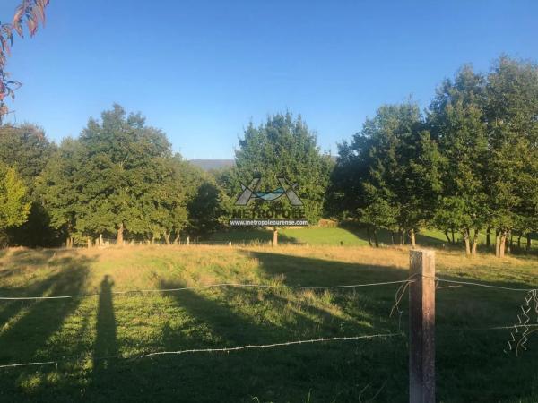 Terreno en Nogueira de Ramuin