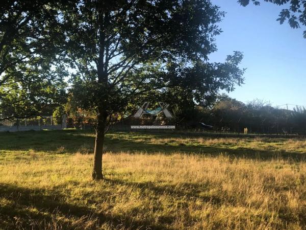 Terreno en Nogueira de Ramuin