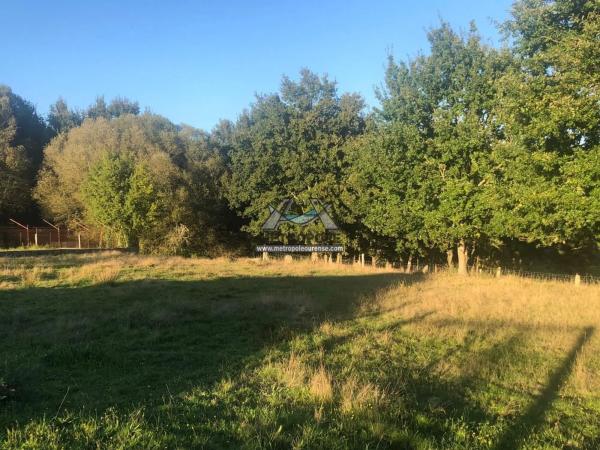 Terreno en Nogueira de Ramuin