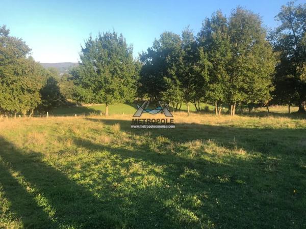 Terreno en Nogueira de Ramuin