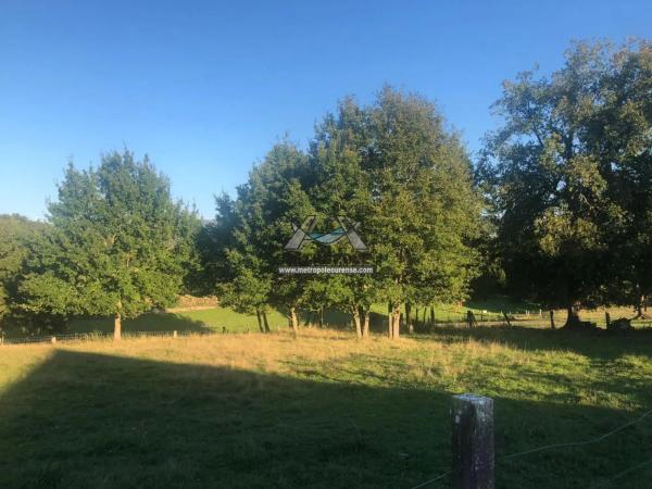 Terreno en Nogueira de Ramuin