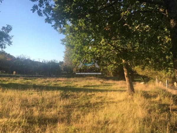 Terreno en Nogueira de Ramuin