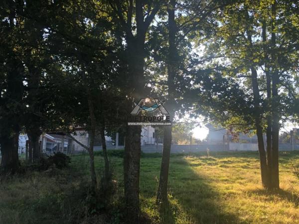 Terreno en Nogueira de Ramuin