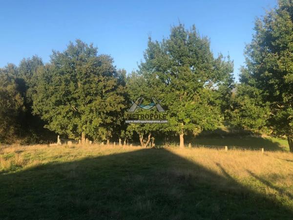 Terreno en Nogueira de Ramuin