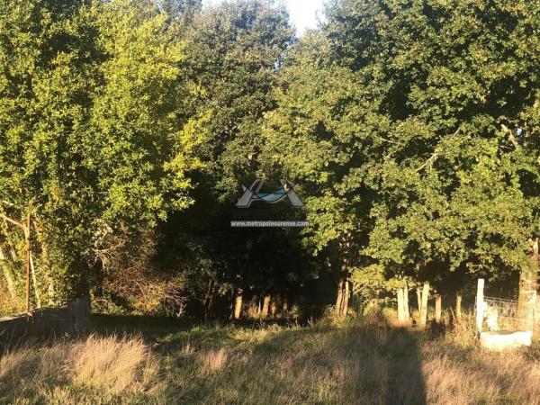 Terreno en Nogueira de Ramuin