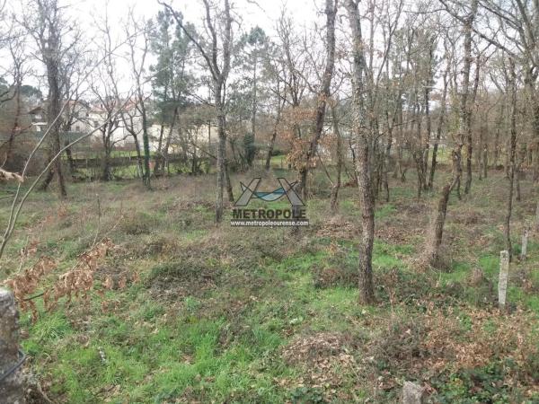 Terreno en San Cibrao das Viñas