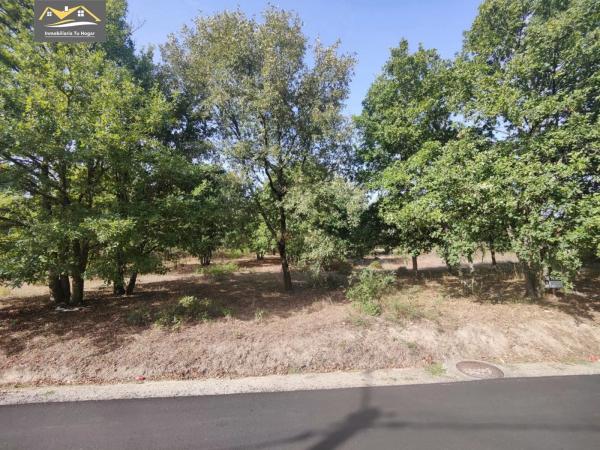 Terreno en San Cibrao das Viñas