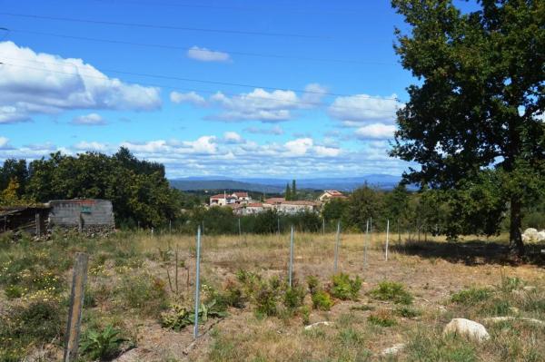 Terreno en San Cibrao das viñas