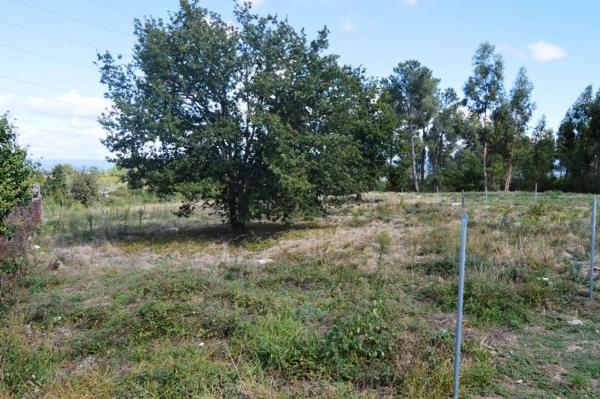 Terreno en San Cibrao das viñas