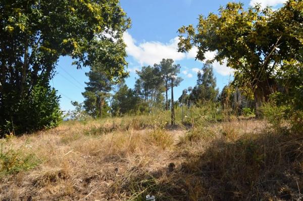 Terreno en San Cibrao das viñas