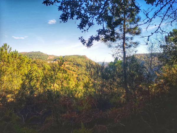 Terreno en Baldomar s/n monte