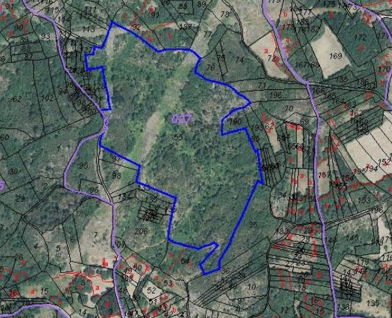 Terreno en Aldea de Fontefría, 19