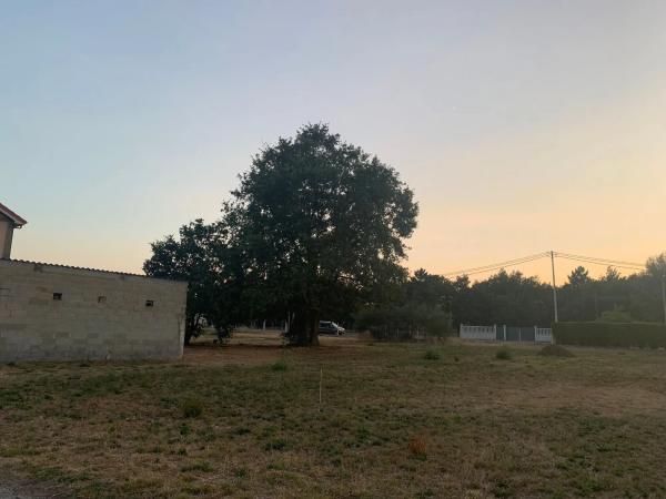 Terreno en Espiñeiro s/n