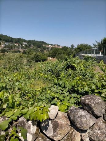 Terreno en Pereiro de Aguiar