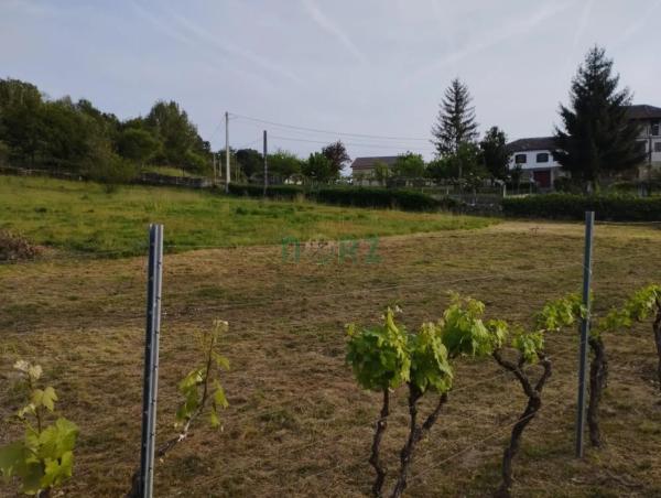 Terreno en Amoeiro