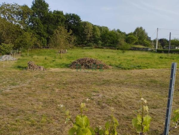 Terreno en Amoeiro